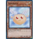 Hanewata - SR05-EN024