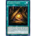 Closed Forest - AP01-EN021