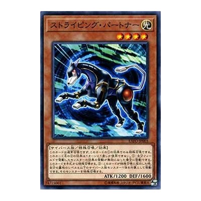 Striping Partner - EXFO-JP003