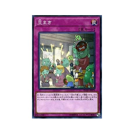 Mamemaki - FLOD-JP079