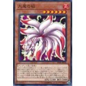 Nine-Tailed Fox - PP20-JP014