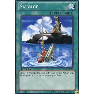Salvage - DR2-EN097 - Nova