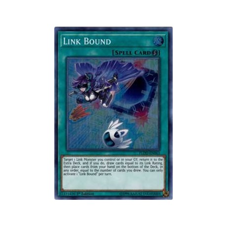 Link Bound - FLOD-EN063