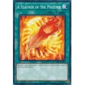 A Feather of the Phoenix - LEHD-ENA26