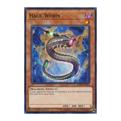 Hack Worm - MP18-EN041