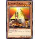 Pyramid Turtle - SR07-EN015