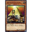 Pyramid Turtle - SR07-EN015