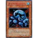 Ameba - DL1-008