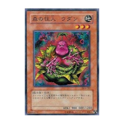 Wodan the Resident of the Forest - DL4-087