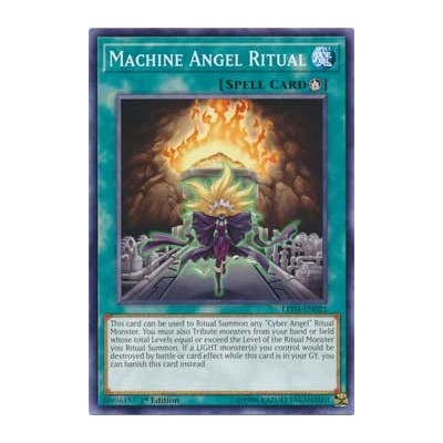 Machine Angel Ritual - LED4-EN021