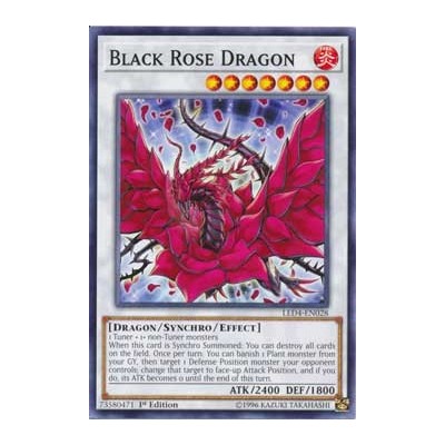 Black Rose Dragon - LED4-EN028