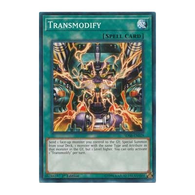 Transmodify - SDSB-EN029