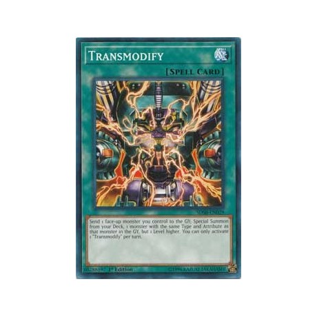Transmodify - SDSB-EN029