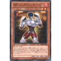 Battlin' Boxer Big Bandage - PRIO-JP008