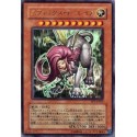 Sphinx Teleia - PP7-001