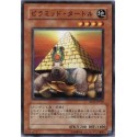 Pyramid Turtle - SD15-JP010