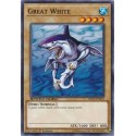 Great White - SBAD-EN021