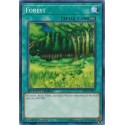 Forest - SS03-ENB17