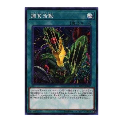 Predapractice - DP22-JP047
