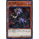 Luna the Dark Spirit - CHIM-JP027