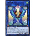 Seraphim Papillion - CHIM-JP050