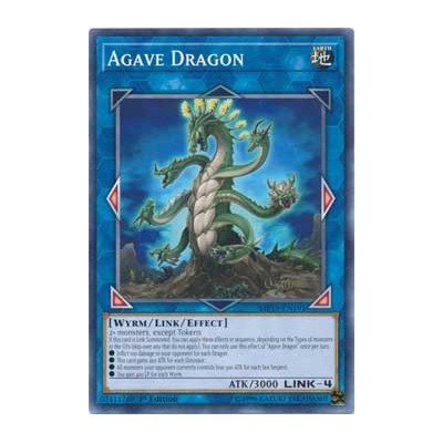 Agave Dragon
