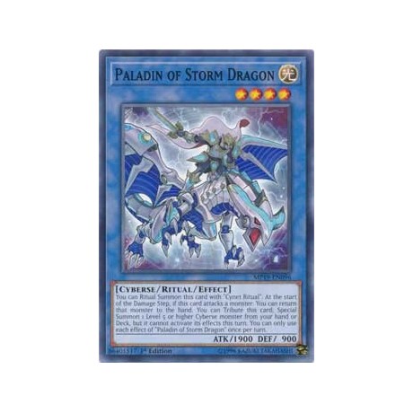Paladin of Storm Dragon