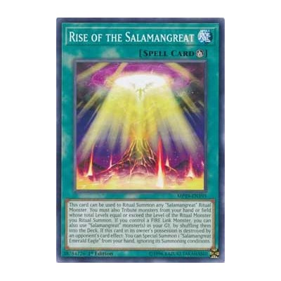 Rise of the Salamangreat