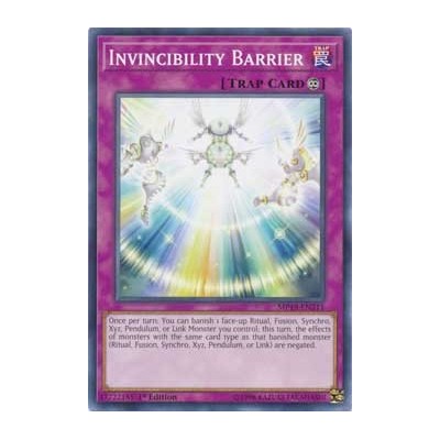 Invincibility Barrier