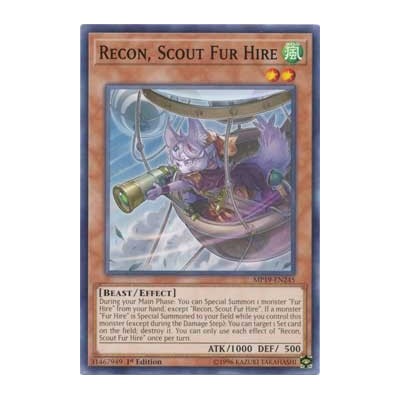 Recon, Scout Fur Hire