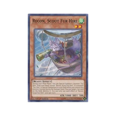 Recon, Scout Fur Hire