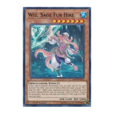 Wiz, Sage Fur Hire