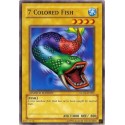7 Colored Fish - SD4-EN002