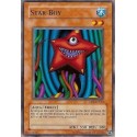 Star Boy - SD4-EN006 