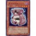 Des Koala - YSD4-JP011