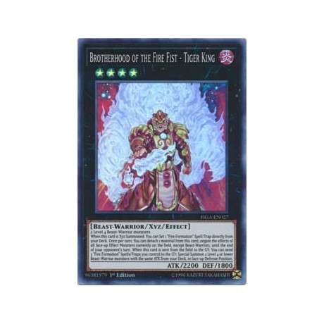 Brotherhood of the Fire Fist - Tiger King