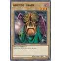 Ancient Brain
