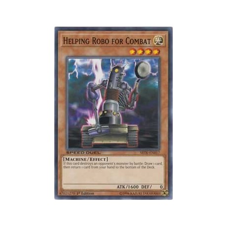 Helping Robo for Combat