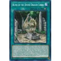 Ruins of the Divine Dragon Lords