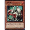 Masked Dragon - SD19-JP019