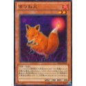 Fox Fire - SD24-JP018