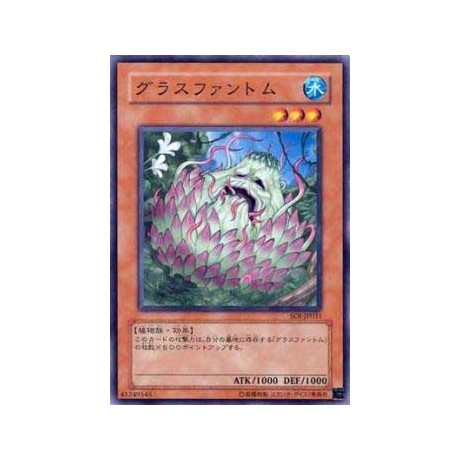 Grass Phantom - SOI-JP031