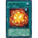 Super Solar Nutrient - CRMS-JP058