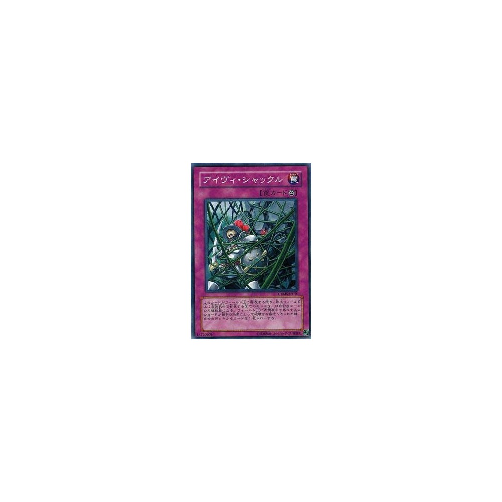 Ivy Shackles - CRMS-JP070 - Nova Ivy Shackles - CRMS-JP070 - Nova