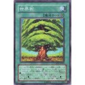 The World Tree - CSOC-JP059