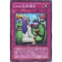 DNA Checkup - CSOC-JP078
