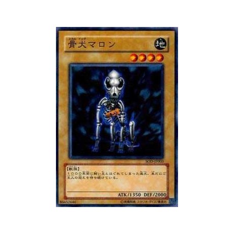 Skull Dog Marron - SOD-JP003 - Nova