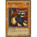 Milus Radiant  - SDJ-014