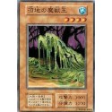Beastking of the Swamps - B6-99426834