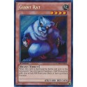Giant Rat - SYE-020